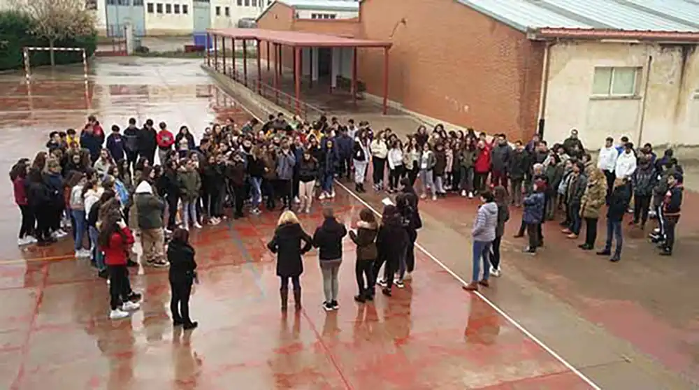 IES «Tierra de Campos» contra la Violencia de Género
